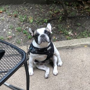 Meet your Posher, Ben